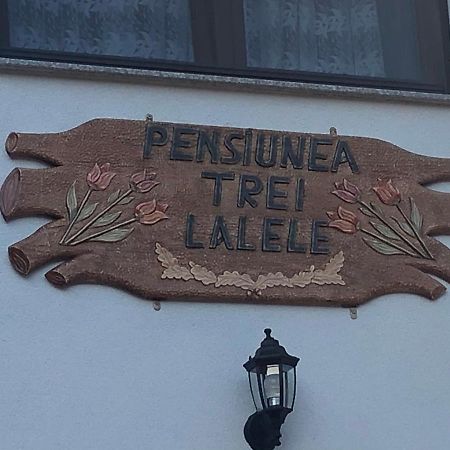 Pensiunea Trei Lalele 모이세이 외부 사진