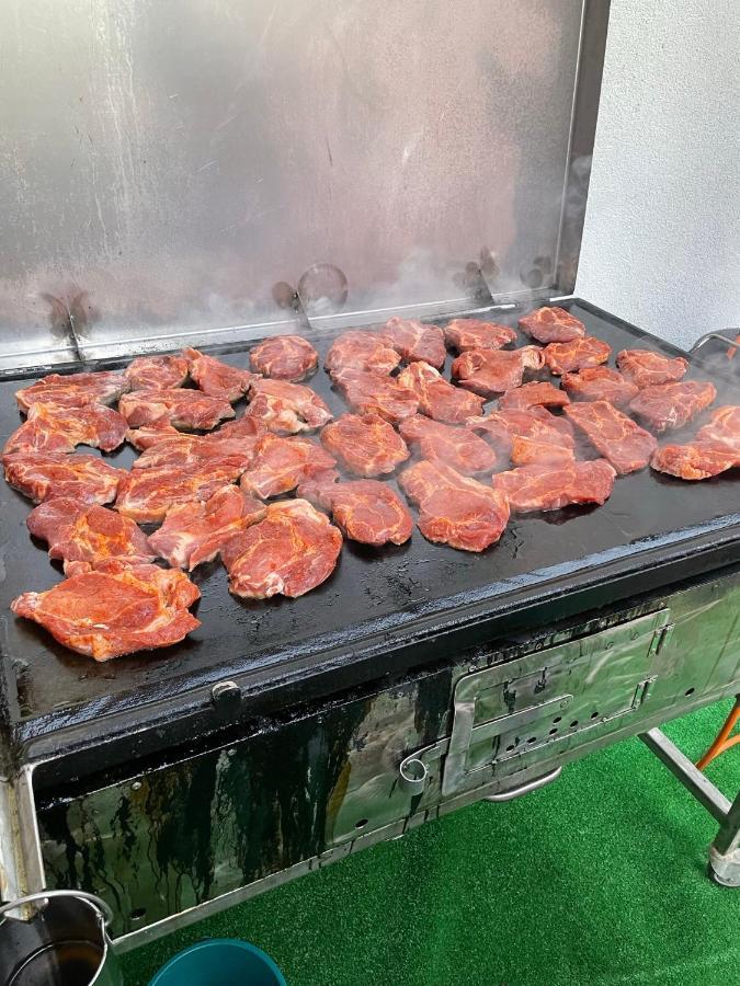 Pensiunea Trei Lalele 모이세이 외부 사진